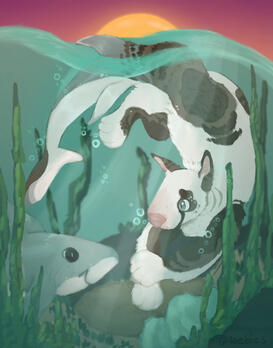 illustration illustration